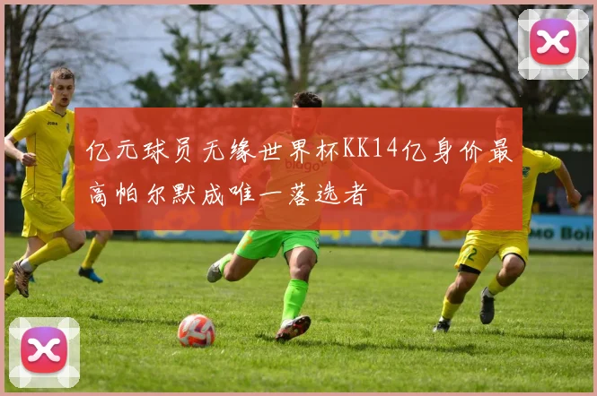 亿元球员无缘世界杯KK14亿身价最高帕尔默成唯一落选者